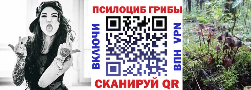 Галлюциногенные грибы Psilocybine cubensis что такое Коммунар