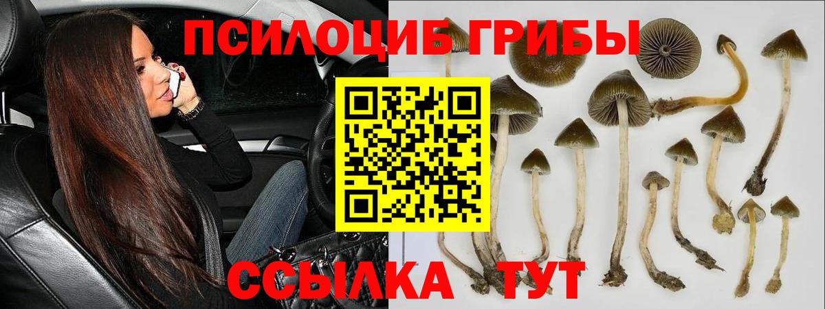 Галлюциногенные грибы MAGIC MUSHROOMS Коммунар