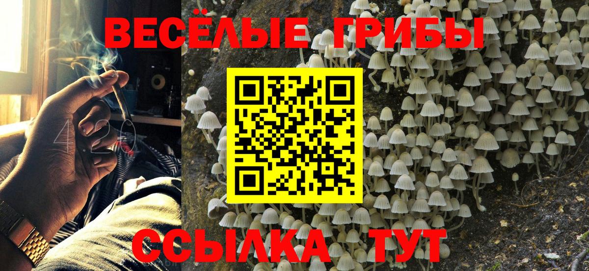 Коммунар  Галлюциногенные грибы Magic Shrooms  купить наркоту  Вход с VPN  Псилоцибиновые грибы мицелий 